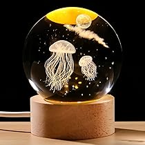 71Bc+NBTd7L._AC_UL210_SR210,